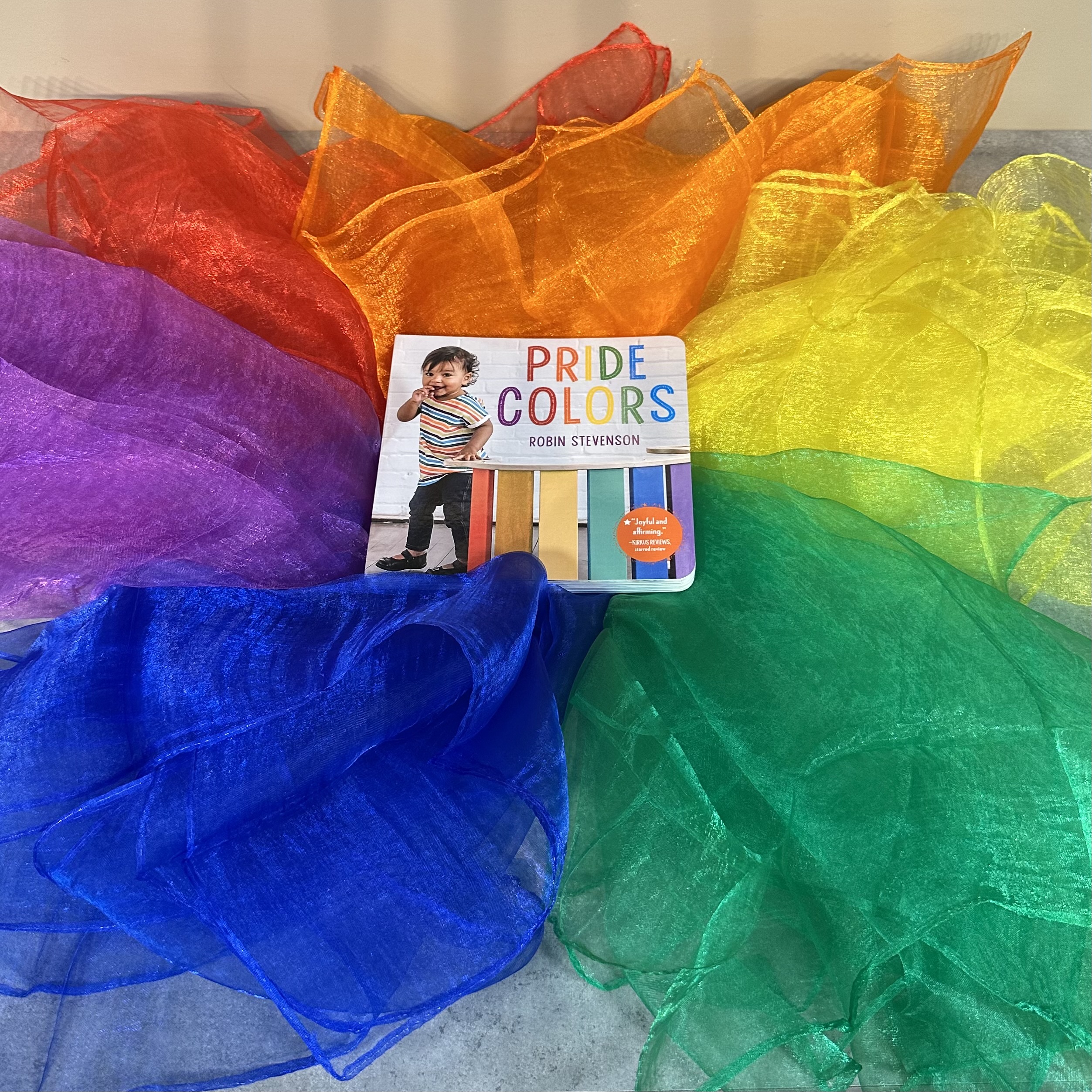 Infant and Toddler Celebrating Pride Resource Set