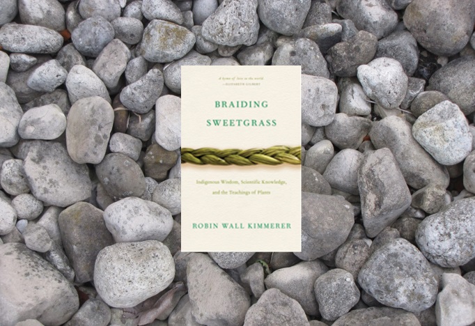 Braiding Sweet Grass: Indigenous Wisdom, Scientific Knowledge and the Teachings of Plants