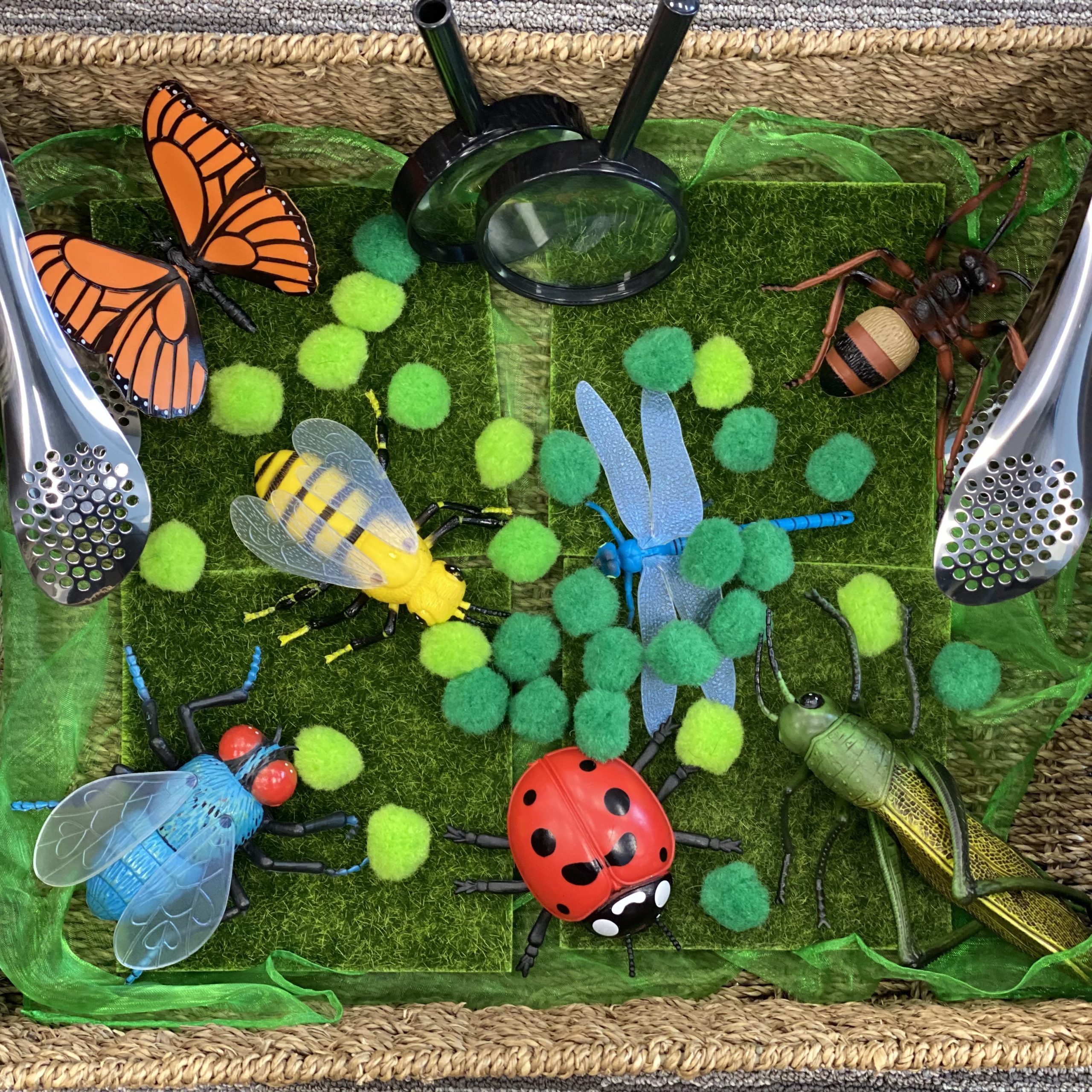 Infants & Toddlers Explore Insects through Sensory Play