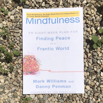 Mindfulness: An Eight-Week Plan for Finding Peace
