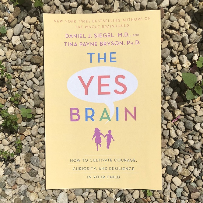 The Yes Brain