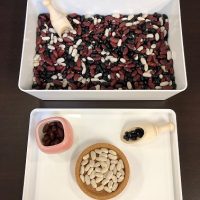 dry beans for counting and sorting