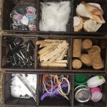 wood shell and plastic pieces in sorting container